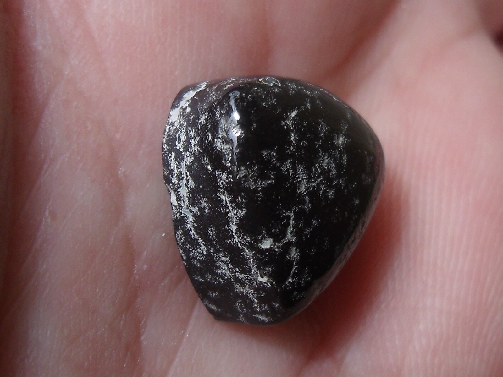 6.60 Ct. Mexican Leopard Opal Cabochon | eBay