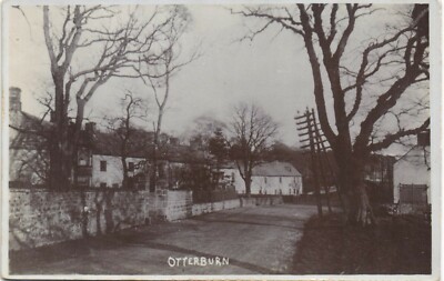 Otterburn bei Bellingham. Baum & Telefonmast.