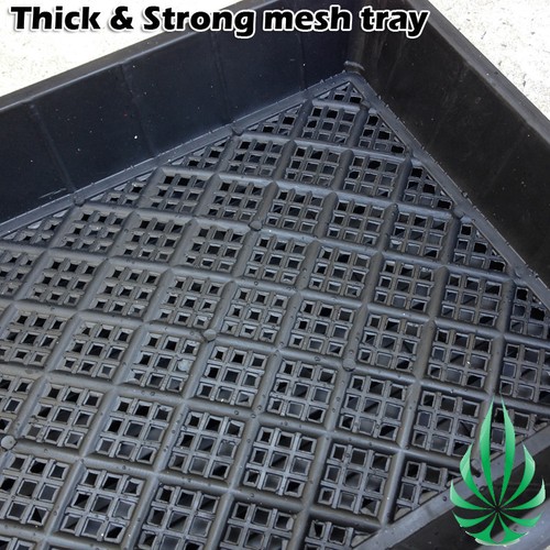 Seeding Cloning Mesh Tray Dome Kit Hydroponics Soiless Rockwool Clay Propagation - Picture 4 of 4