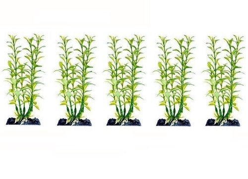 Penn Plax blühende Ludwigia klein 5er Pack - grüne Wassermannpflanzen Kunststoffbecken