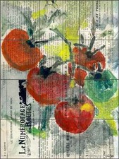 Tile Mural Backsplash Ceramic Roberto Tomato Fruit Vegetable Kitch Art LRA011