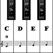 Piano Keyboard Stickers for Beginners, Reusable Protective Piano Key Labels