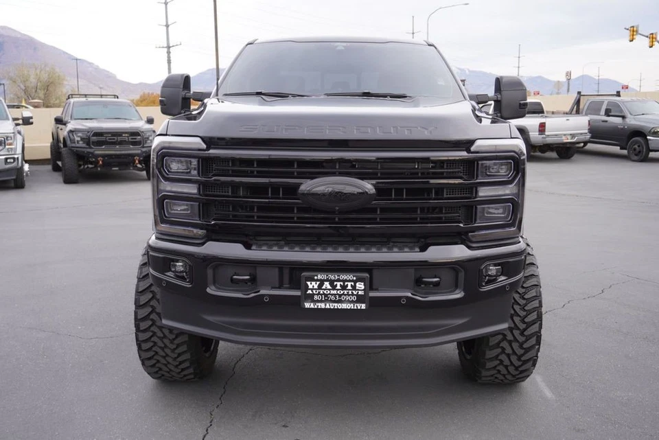 2025 Ford SUPER DUTY F-350 PLATINUM - Image 4 of 4