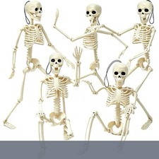 5 Pack 16" Posable Halloween Skeleton Decorations Full Body Joints Party Decor