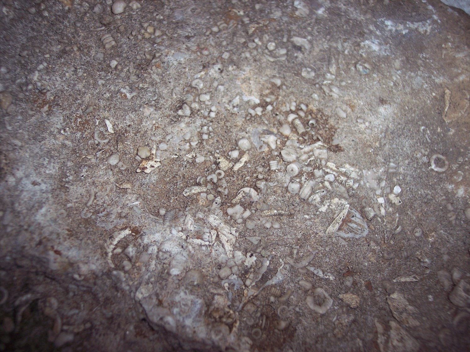 Picture 4 of 19