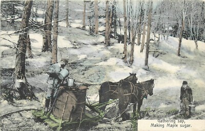 c1910 White River Junction Vermont Green Mountain Card Postcard 25-2661