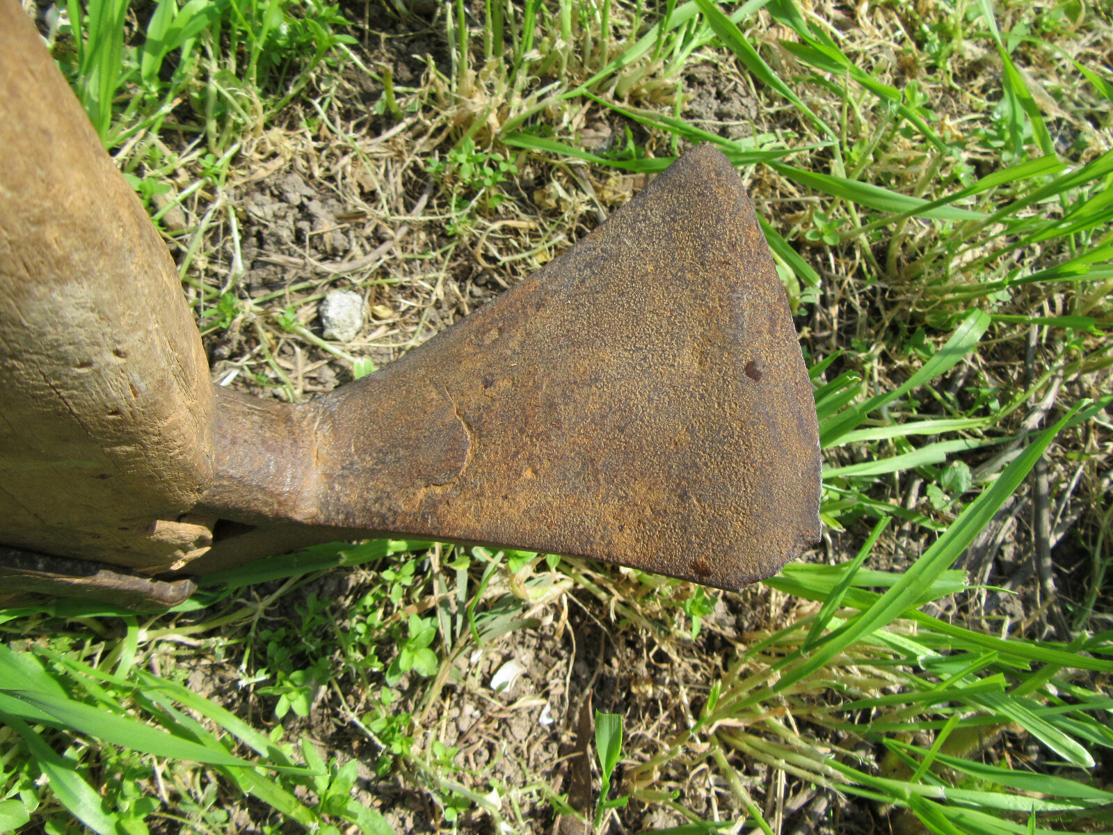 Picture 7 of 7