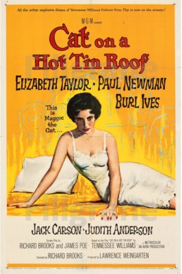 CAT on a HOT TIN ROOF Rfpn-POSTER HQ 40x60cm d'une AFFICHE VINTAGE