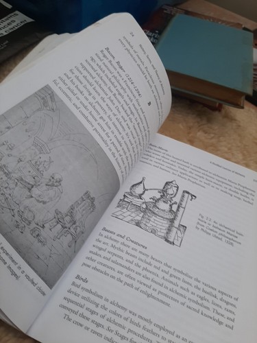 Shamanic Alchemy : The Great Work of Inner Transformation, Paperback by Endredy - Bild 8 von 13