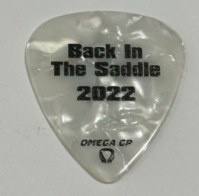 Aerosmith エアロスミス Joe Perry Y2K ギターピック Aerosmith エアロスミス Joe Perry Y2K ギターピック