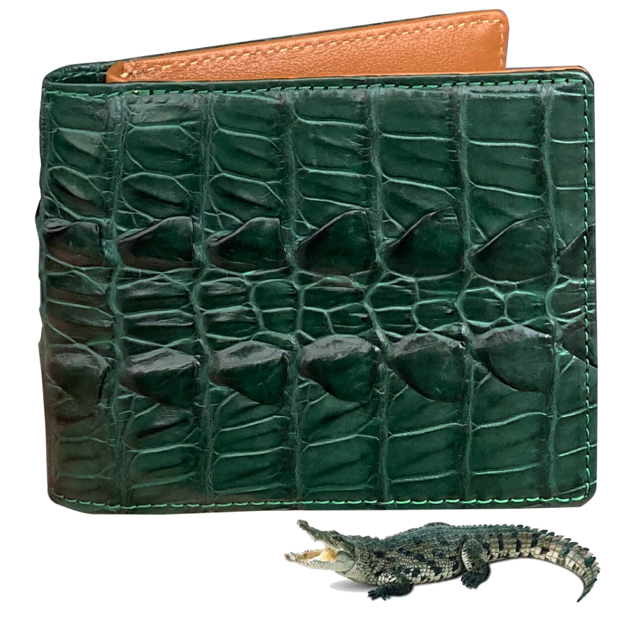 Green Crocodile Bifold Wallet Genuine Crocodile Leather Handmade RFID Blocking