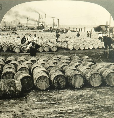 Keystone Stereoview Sugar Levee, New Orleans, LA of Rare USA 100 Card Set #36 NM