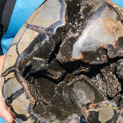Huevo Septario Dragón Natural 17.51LB Cuarzo Cristal Geoda Decoración - Imagen 10 de 13