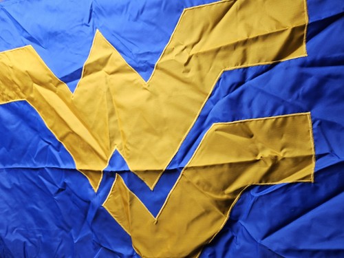 Truppe 151 West Virginia Pfadfinder Flagge BSA 31 x 46 cm  - Bild 5 von 9