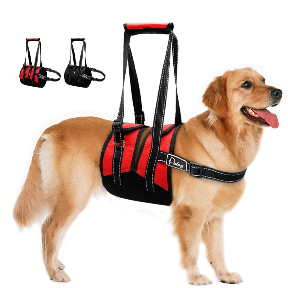 Helping hand top dog sling