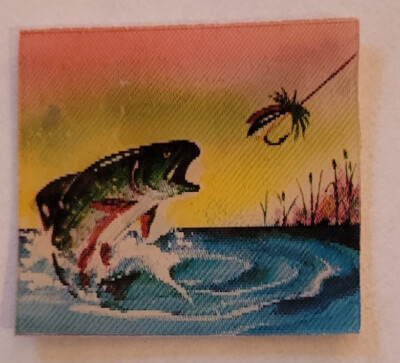 Fishing. Fish. Hook. 1960s Vari-Vue Lenticular Flicker 1 1/4 x1 1/8'' Vintage