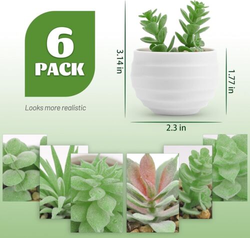 Set of 6 Succulents Plants Artificial in Pots Small Fake Plants for Bedroom - Picture 4 of 6