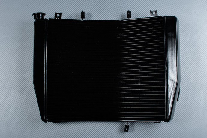 Radiateur eau OEM pour Kawasaki ZZR 1400 Performance 2016-2020