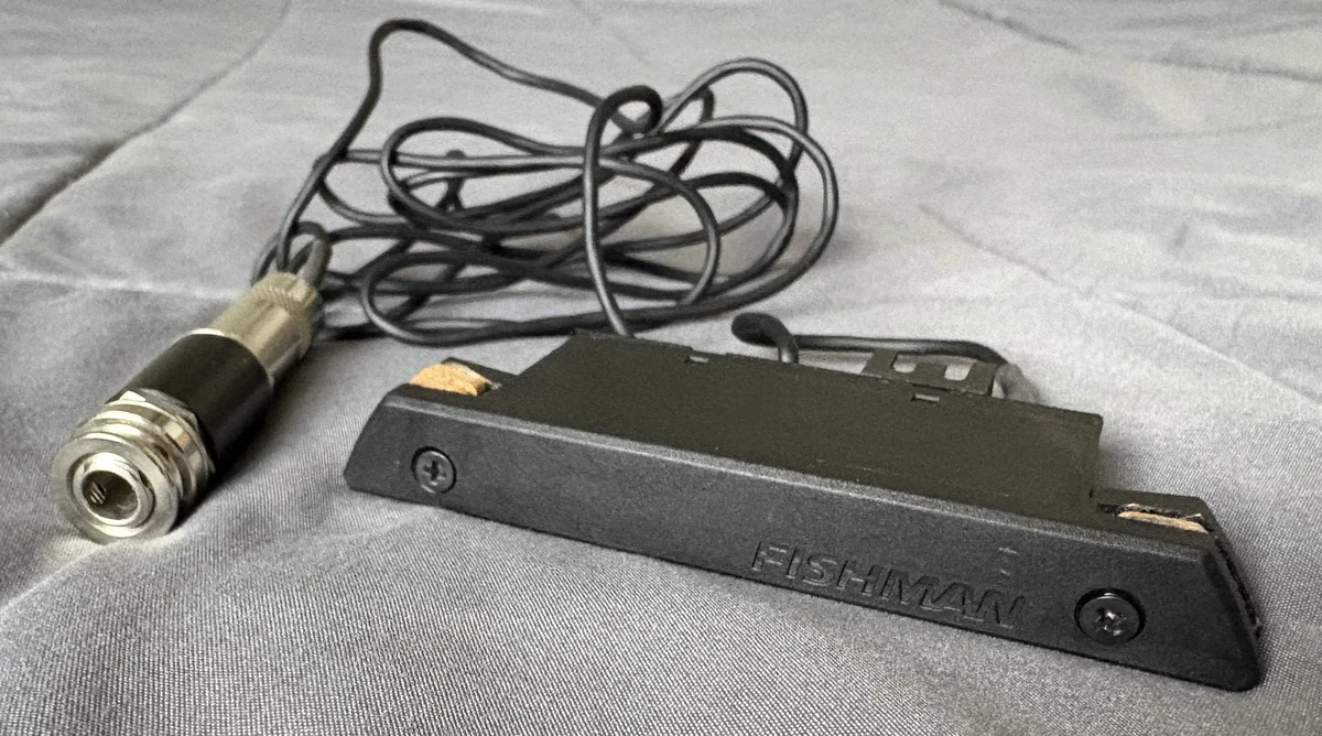 Fishman Rare Earth for sale - eBay