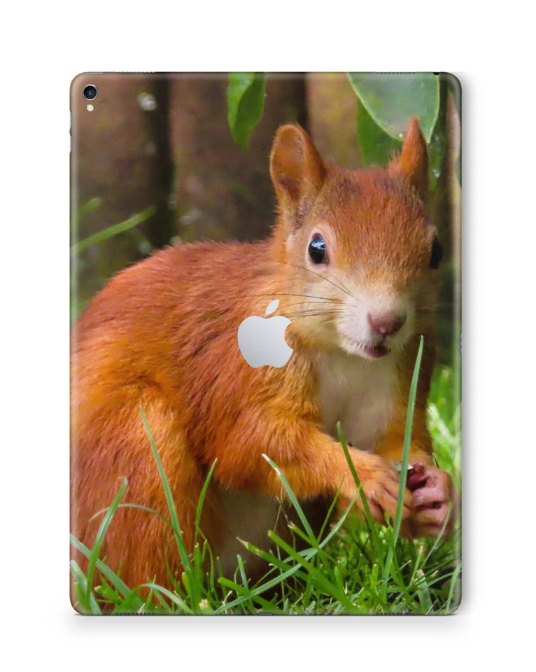 Apple iPad Skin Schutzfolie Aufkleber Design Sticker Folie Skins Eichhörnchen - Bild 1 von 1