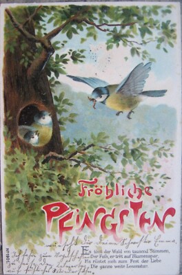 Farb-AK Prägekarte Fröhliche Pfingsten - Vogel füttert Familie im Baum -1904 gel