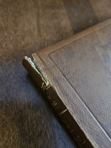 Viktor Rydberg Leather Bound Book Lot Singoalla Swedish Book Fribytaren Vintage - Picture 11 of 12