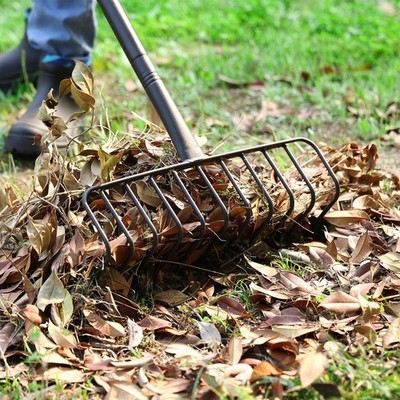 Thatch Rake, 16Inch Heavy Duty Metal Garden Rake with 56Inch Handle & 11 Stee...