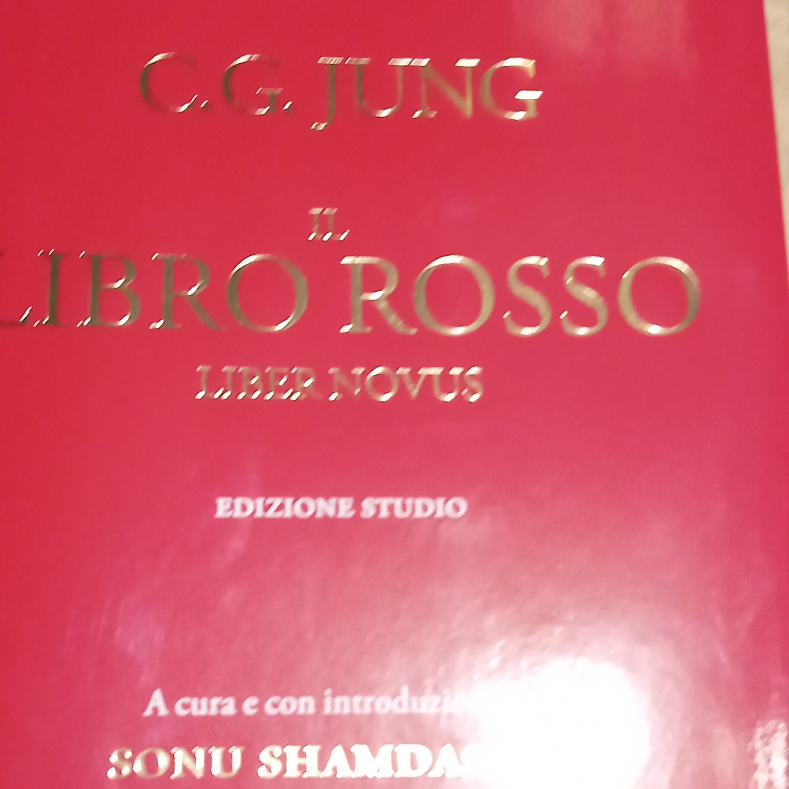 C.G. Jung Il libro rosso (Liber Novus) Edizione studio a cura di Shamdasani