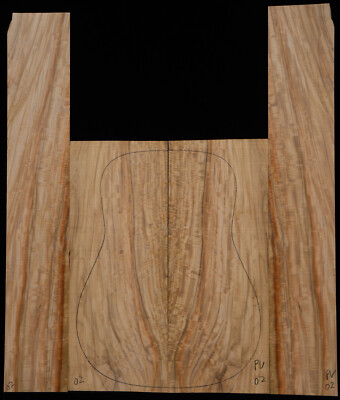 Prima Vera #02 Guitar Set Dred Size  Back and Sides Luthier Tonewood