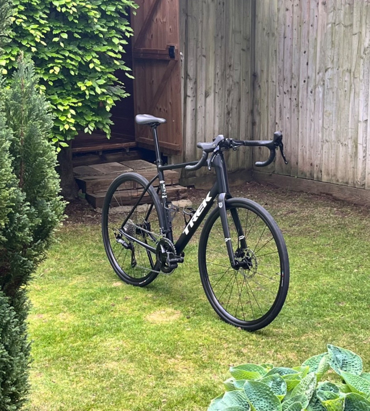 Trek Domane AL5 Gen 4 (2024)