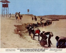 Southern Star original 8x10 Lobby Card V8671