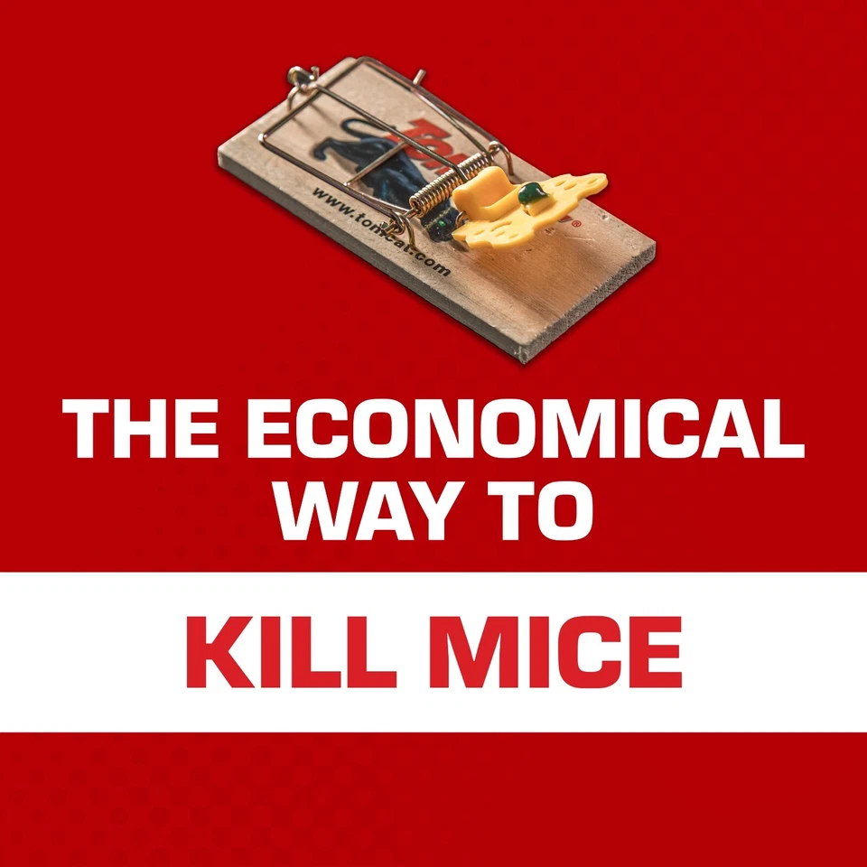 Paquete de trampas para ratones Tomcat (madera), 48 trampas Foto 2 de 4