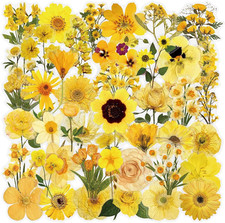 50PCS Pressed Flower Transparent Stickers  Aesthetic Dried Flower Vinyl Decals,