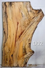 D02 Spalted Beech Wood Live Edge Slab tabletop, 46x24x1 3/8