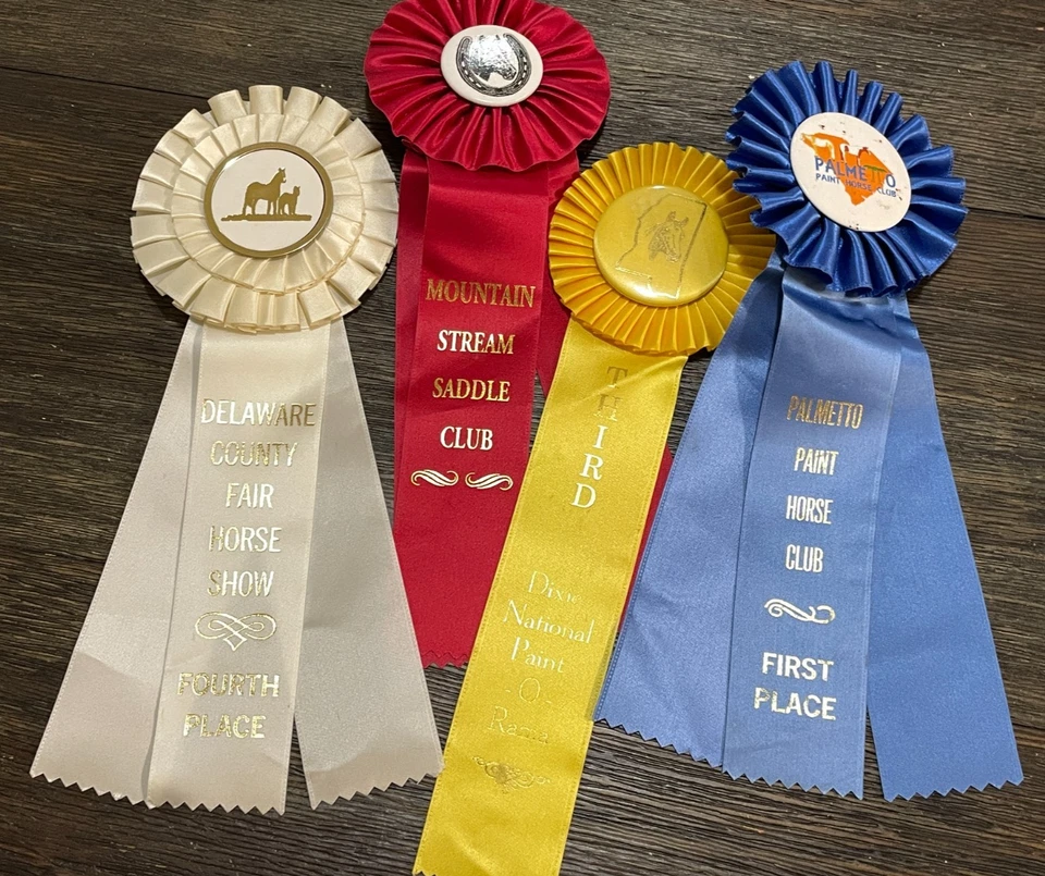 Lote de 10 HERMOSAS cintas para exhibición de caballos rosetas artesanías GA SC pintura palos de silla de montar Foto 4 de 4