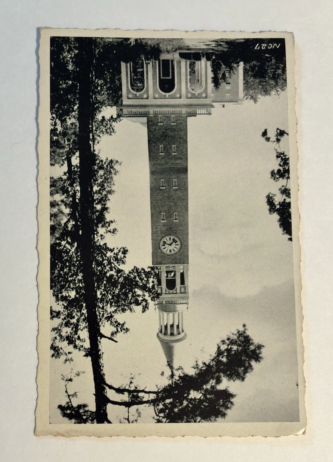 Picture 4 of 5