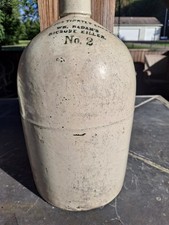 1890 WM Radams Microbe Killer crock Jug No. 2 Antique
