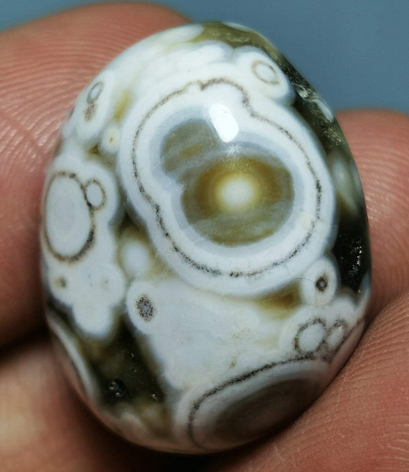 Picture 4 of 11
