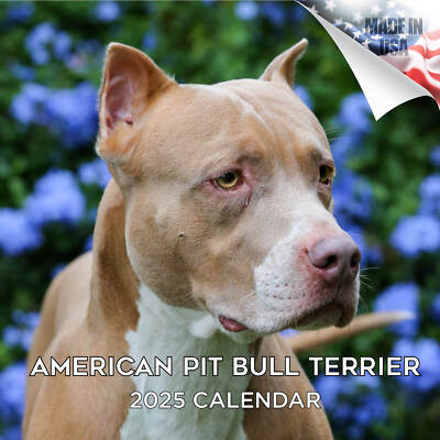 American Pit Bull Terrier Dog Breed Calendar 2025 FULL SIZE 12x24 Made in USA