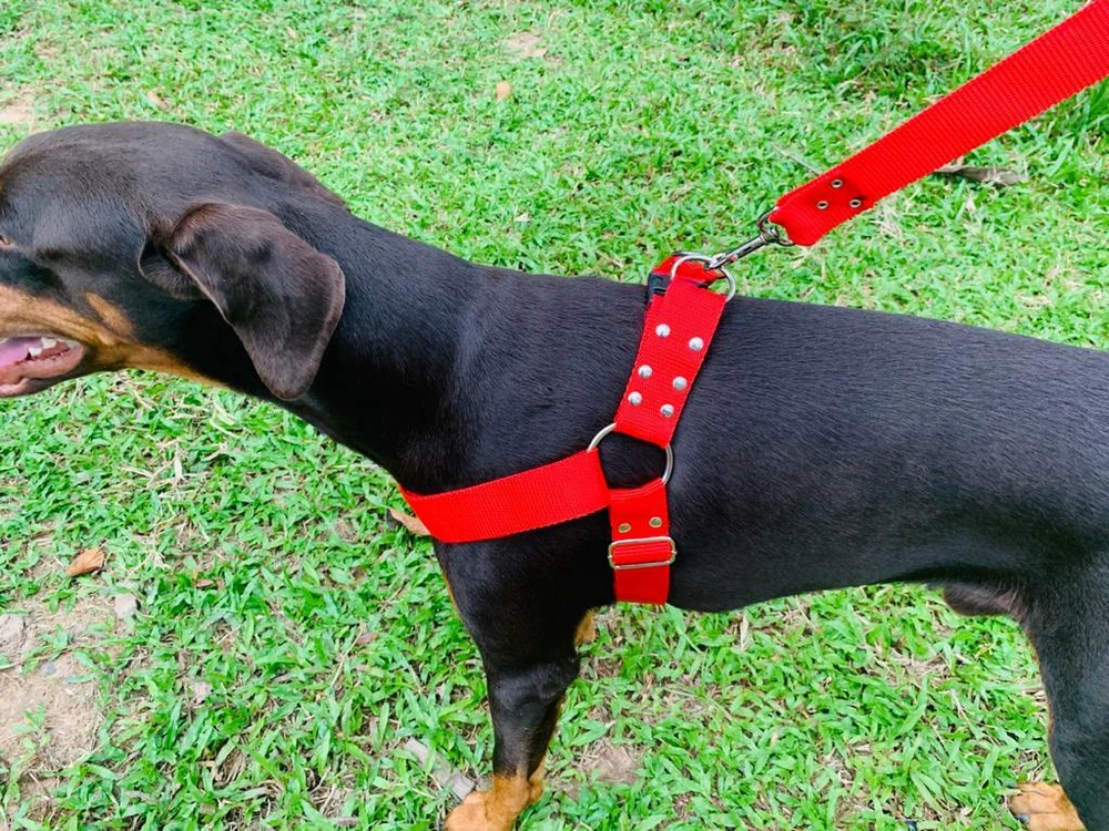 Dog Harness Pet New Nylon Durable Reflective Adventure Outdoor Safety Adjustable