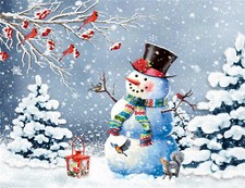 Christmas Snowman Cardinals Winter Forest Backdrop Background Studio Props 7X5FT