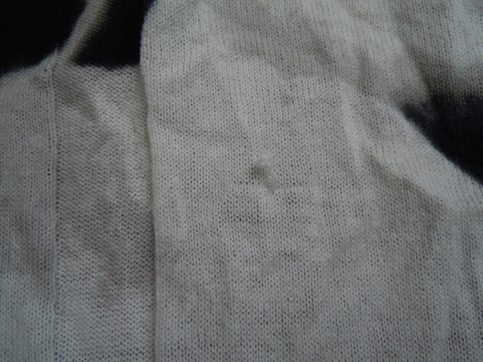 Picture 5 of 5