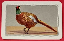 BA72 Swap Playing Cards 1 VINT  NMD  BIRD PHEASANT ART BARRIBAL
