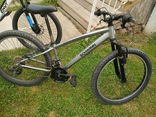 eBay Auction Picture
