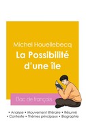Michel Houellebecq | RéUssir Son Bac De FrançAis 2026 : Analyse Du Roman La...