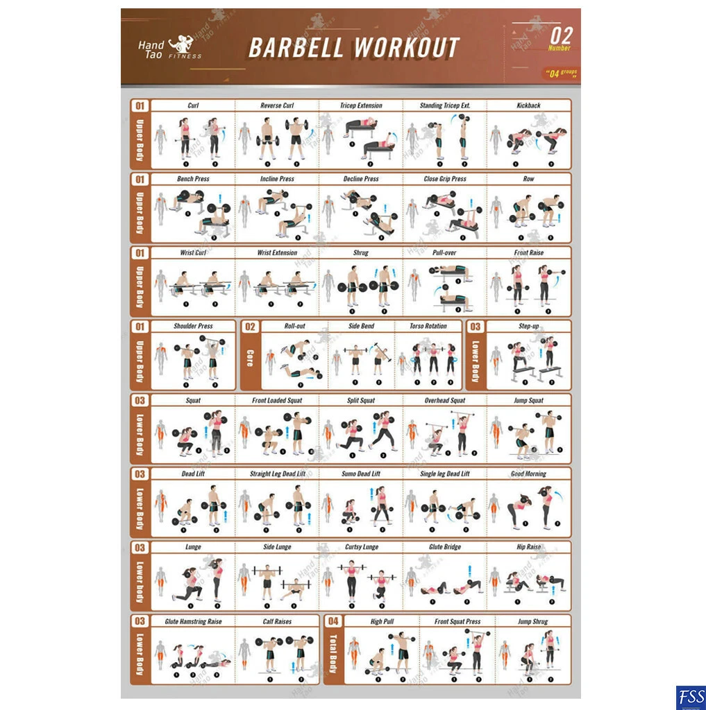 Best Bodybuilding Exercises Chart