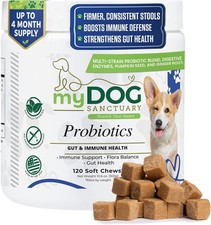 DOGS PROBIOTIC CHEWS Gut Immunity Health Yeast Itchy 120 Probiotic Dog Treats