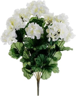 Arcadia Silk Plantat 17'' ranium Bush x9 White (Pa of 12)