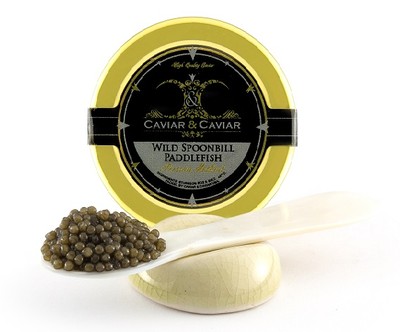 Wild FRESH American Paddlefish Caviar 1oz + SPOON GIFT SET