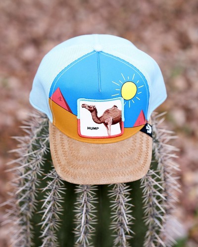 Goorin Bros Farm Trucker DRY HUMP Camel Toe Limited Edition CAMELLO 🐫 - Picture 11 of 12